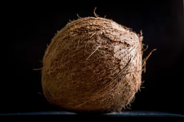The Coconut Controversy