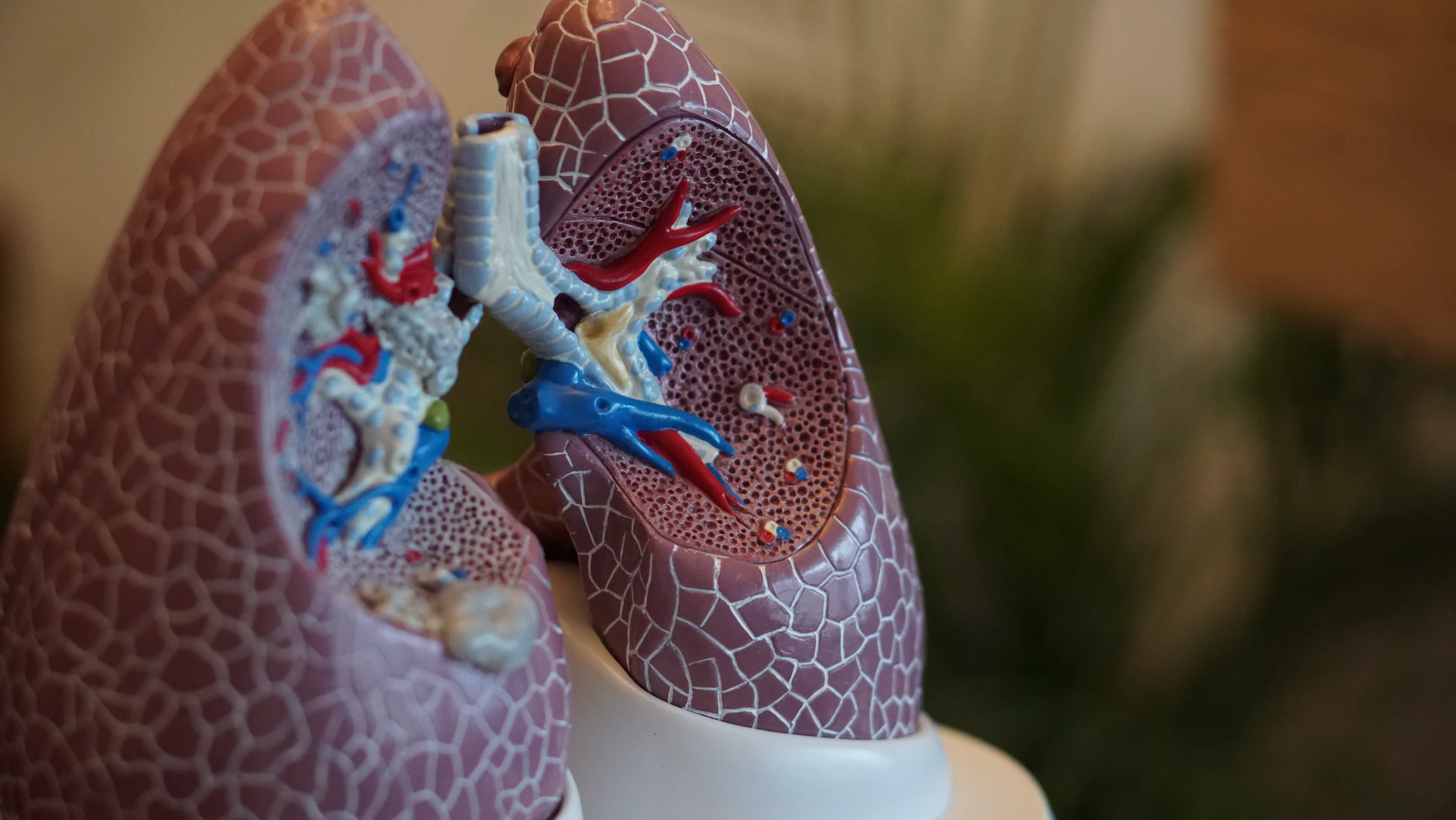 COPD Breathing Aid Developed
