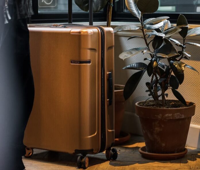 A packed roller suitcase next to a trendy house plant.
