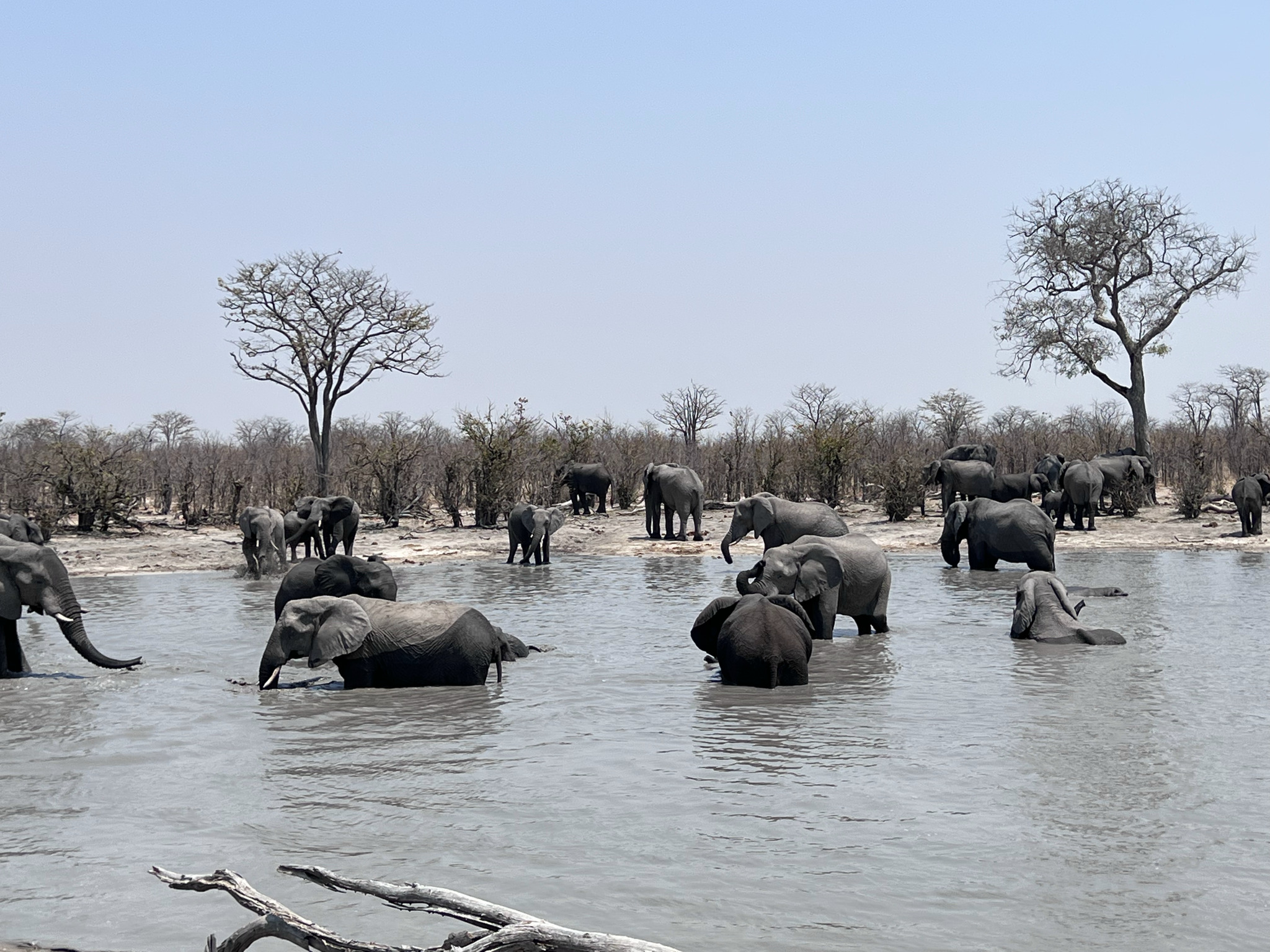 Tuludi Camp, Okavango Delta, Botswana.