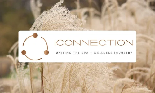IConnection logo