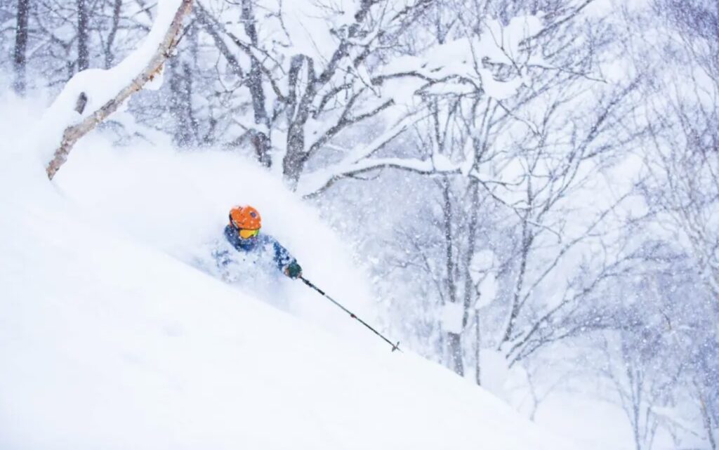 Japan, skiing, fabrice croise, scents of wood