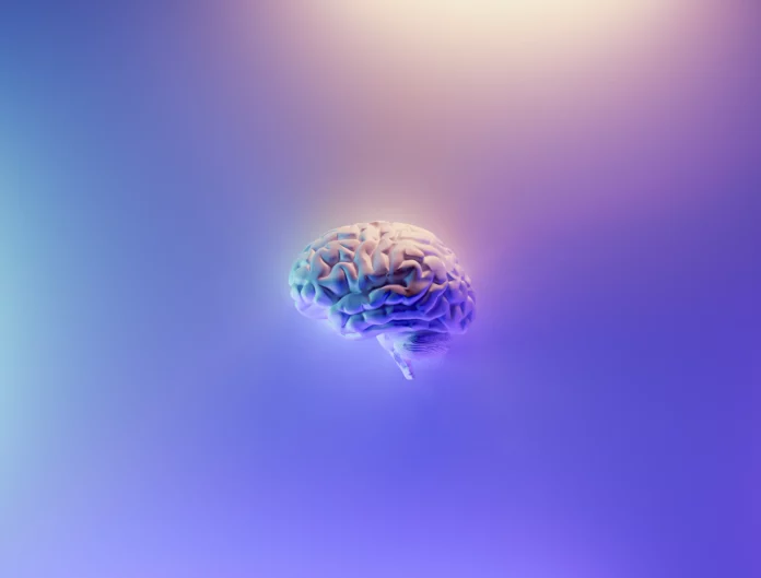 human brains, dementia, Alzheimer's disease